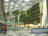 Зеленая стена аэропорта Сингапура